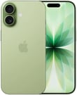 Apple iPhone 17 256Gb Sage (MG6N4AF/A)