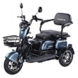 Трицикл FORTE FAMILY-WN1072G сірий