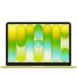 Ноутбук Apple MBN 13 CIT/8GB/256GB-RUS