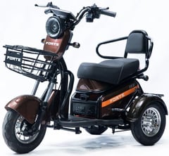 Трицикл акамуляторный FORTE S1-P600, Коричневий (+Акумулятор 12V20A/25А 5шт) | Фото 1