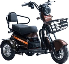 Трицикл акамуляторный FORTE S1-WS600 Коричневий | Фото 1