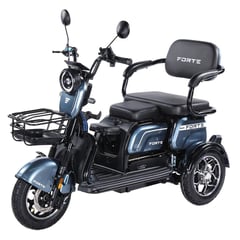 Трицикл FORTE FAMILY-WN1072G сірий