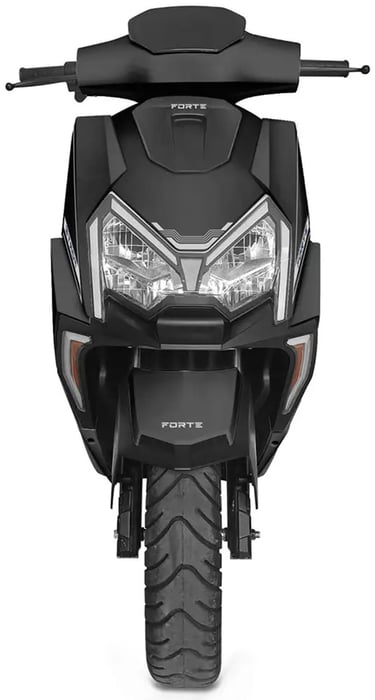 FORTE MS300 | Фото 3