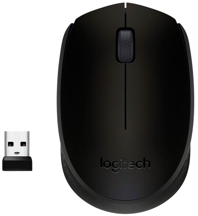 Мышь LOGITECH M171 (910-004424) Серо-черная | Фото 2